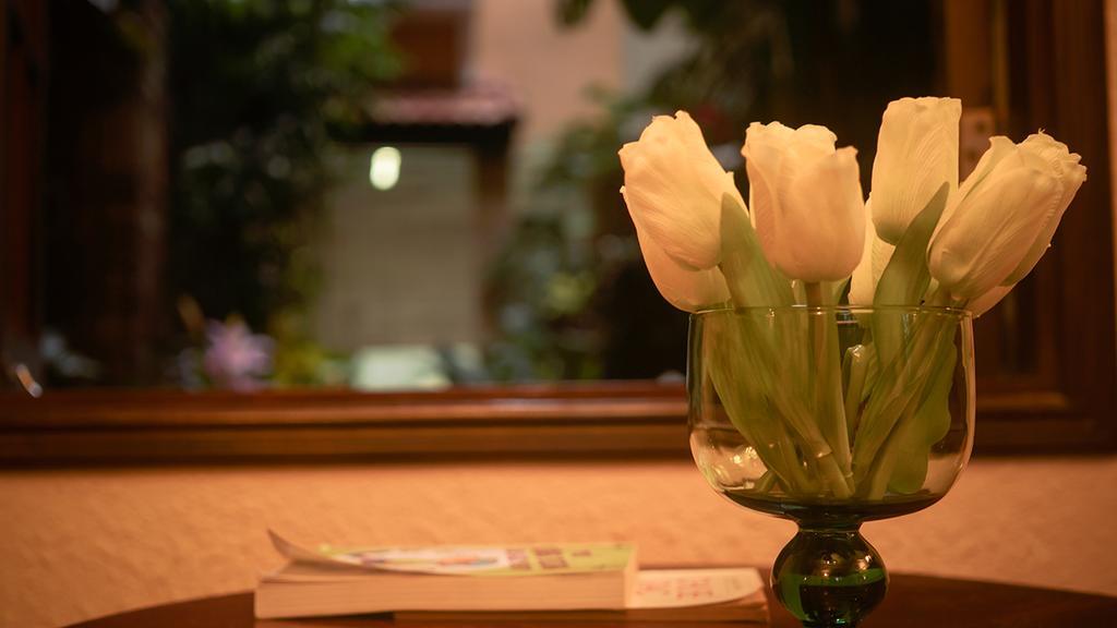 Cam Ly Boutique Apartment & Hotel Ho Chi Minh-stad Buitenkant foto